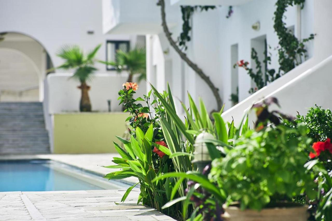 Eva Suites & Apartments Agia Marina  Bagian luar foto